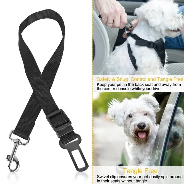 Black pet seat belt with a car seat belt clip, used to secure a dog in a vehicle.