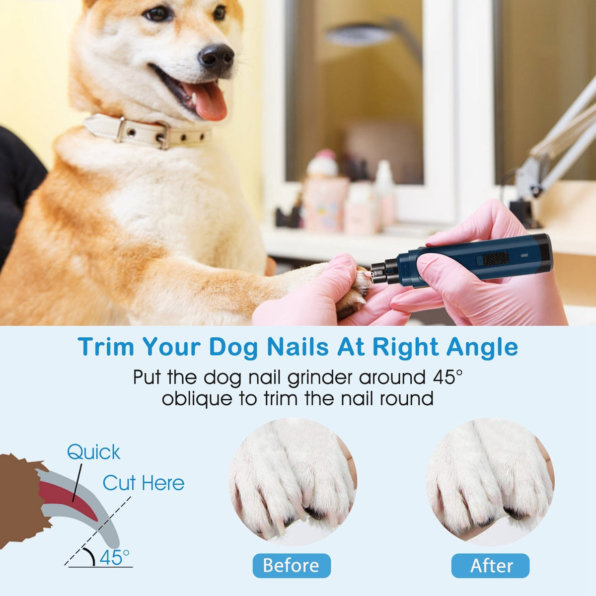 Dog being groomed with a nail grinder, showing before and after effects.