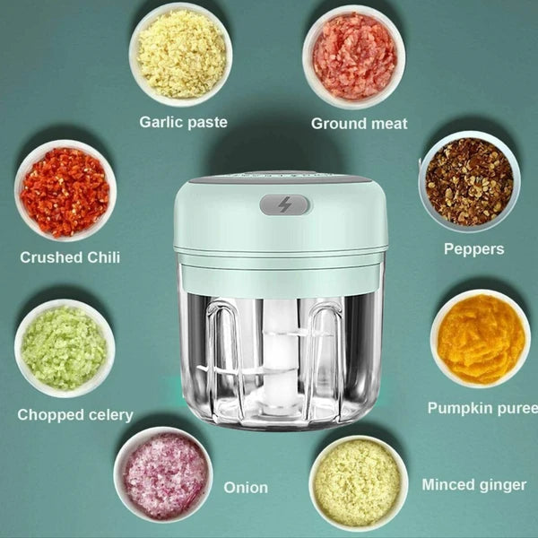 A small electric food chopper with a mint green body and clear jar is centered on a teal background, surrounded by labeled bowls of ingredients including garlic paste, ground meat, crushed chili, peppers, chopped celery, pumpkin puree, onion, and minced ginger.
