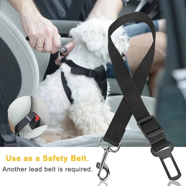 Dog safety harness being used in a car with text indicating it's a safety belt.
