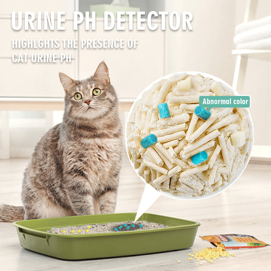 Cat sitting next to a litter box with a urine pH detector and abnormal color indicator.