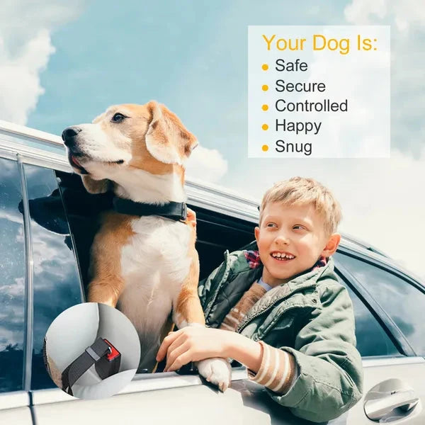 Child and dog in a car with a safety harness, against a blue sky.