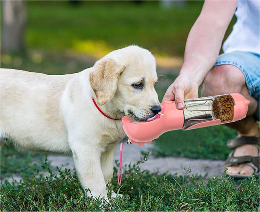 Puppy drinking from a pink pet water bottle held by a person outdoors.