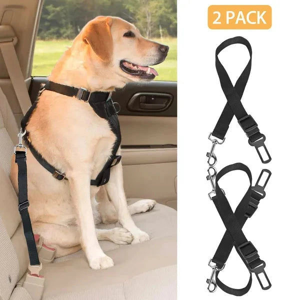 Dog sitting in a car with a black harness, next to two additional black dog harnesses.