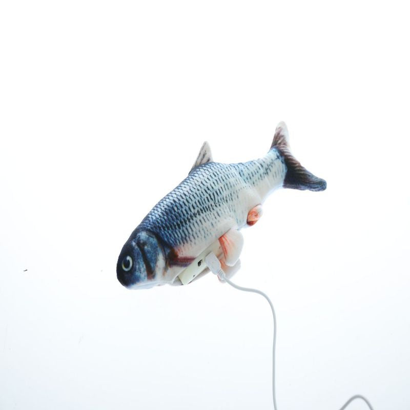 Toy fish with a cord on a white background